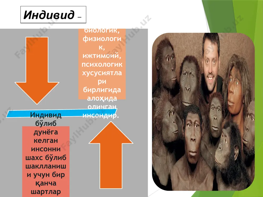 . tortinchoq, g'ayratsiz. araz-chan, xafaxon. jimgina yig'laydi, kam kuladi. qat'iyligi va musta-qilligi zaif. tez toladi. ortiqcha ishchan emas. diqqati barqaror. his-tuyg'usi sust o'zgaradi. qotib qolgan (rigid). introvertirovan-lashgan. melanxolik image1.png image2.jpeg image3.jpeg image4.gif image5.jpeg image6.jpeg image7.jpeg image8.jpeg image9.png image10.png image11.png image12.png /docprops/thumbnail.jpeg