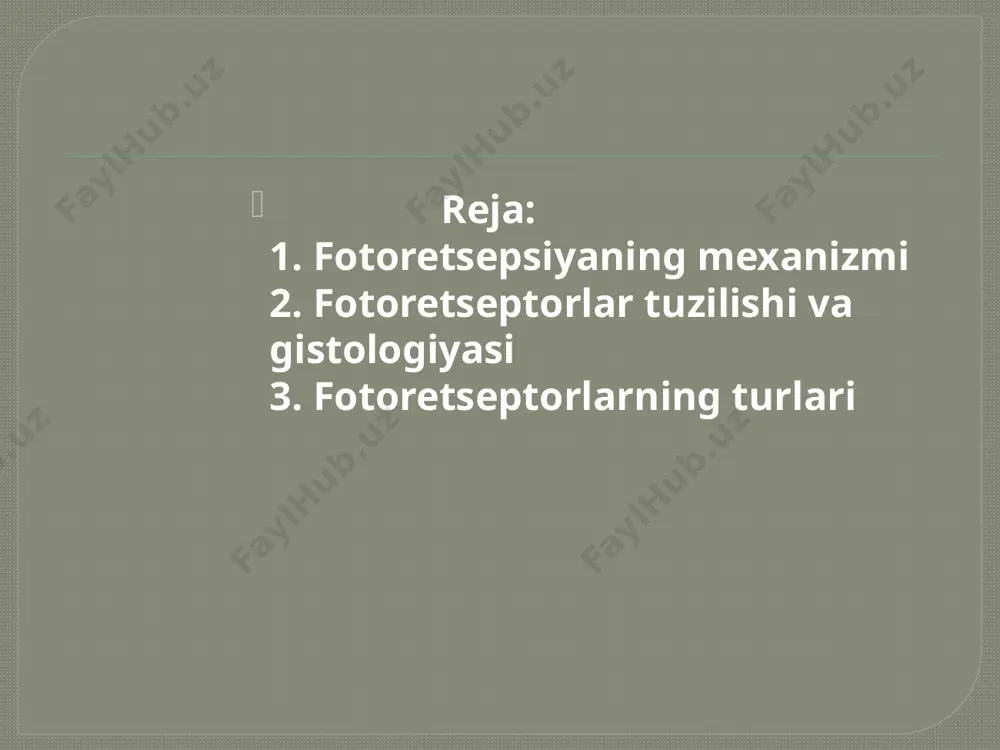 fotoretsepsiyaning morfologik asoslari - Page 3