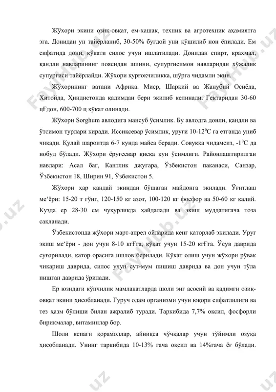 орасида энг юқори ҳосил берадиган экин ҳисобланади. ўзбекистонда шоли ҳосилдорлиги охирги 5 йилликда ўртача 30-35 центнерни ташкил этади. маданий шоли оруза сатива - қўнғирбошлар оиласига мансуб бўлиб, бир йиллик ўсимлик. бу турга икки хил: ҳақиқий шоли ва майда шоли мансуб. донининг узунлигига қараб тур хиллари фарқланади. шоли иссиқсевар, уруғи қ10қ140c да уна бошлайди. лекин бу жараён секин боради. қ14қ150c иссиқликда тез униб чиқади, қ22қ250 c иссиқлик энг қулай ҳисобланади. -0,50 c совуқ хавфли ҳисобланади. зарур иссиқлик йиғиндиси 22000c дан 32000 c гача. шоли намга талабчан ўсимлик ҳисобланади. шолининг транспирацион коэффициенти 450-550 га тенг. шоли серҳосил бўлганлиги учун озиқ моддаларга талабчан ҳисобланади. бир гектардан 50 ц шоли ва 50 ц похол оланидиган бўлса ўсимлик тупроқдан 90 кг азот, 40 кг фосфор ва 160 кг калий олади. демак 1 кг азот солиш эвазига 20 кг қўшимча ҳосил олиш мумкин, агар у фосфорли ўғит билан қўшиб қўлланилса 30 кг гача ортиши мумкин. шоли …