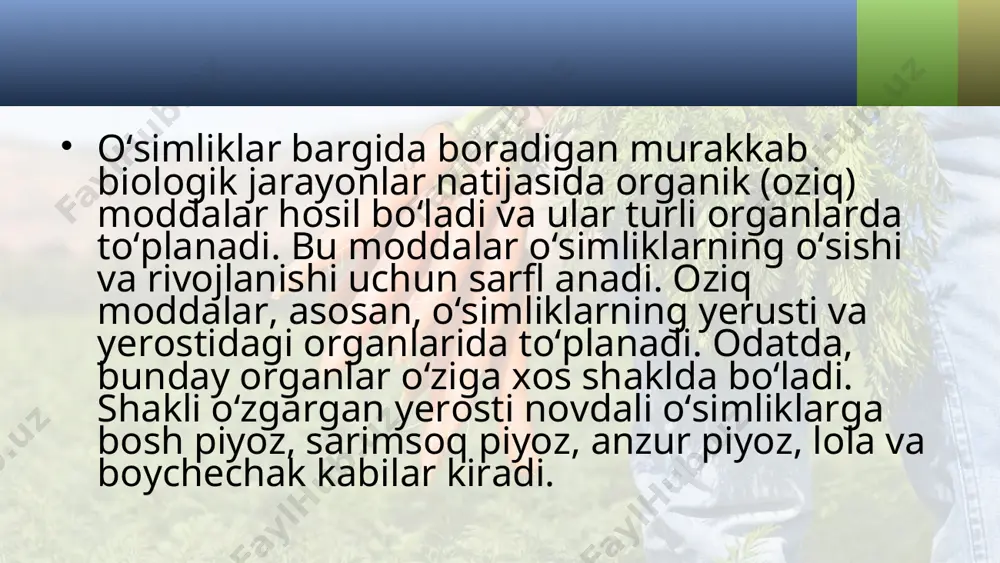 shakli o‘zgargan yerosti novdalar. 5 - sinf - Page 4