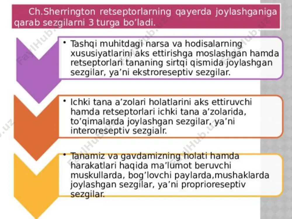 sezgi va idrok jarayonlari rivojlanishi - Page 4
