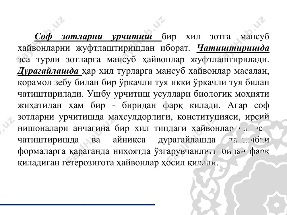 да қўлланилади. саноат усули оддий ва мураккаб бўлади. оддий икки зотли саноат чатиштириш схемаси тўрт зотли мураккаб саноат чатиштириш 5. алмашлаб чатиштиришнинг мақсади худди саноат асосида чатиштиришдаги кабидир. бунда ҳам гетерозисдан фойдаланиш масаласи қўйилади, аммо саноат асосида чатиштиришдан бироз фарқ килади; бунда биринчи авлод дурагайларининг урғочисидан насл олиш учун фойдаланилади. алмашлаб чатиштириш оддий - икки зотли ва мураккаб - уч зотли булиши мумкин. икки зотли кетма-кет чатиштиришда биринчи авлод дурагай урғочи билан она зотнинг эркаги, иккинчи авлод урғочиси эса ота зотининг эркаги билан чатиштирилади. бундай навбатланиш кейинги авлодларда ҳам давом эттирилади. уч зотли чатиштиришда учта зотнинг эркаги навбатланади. икки зотли алмашлаб чатиштириш схемаси: а).қизил чўл зоти; б).герефорд зоти уч зотли алмашлаб чатиштириш схемаси. а).қизил чўл зоти; б).герефорд зоти; в). санта гертруда зоти 6. дурагайлаш. дурагайлаш мақсади. ҳар хил турга мансуб ҳайвонларни чатиштириш дурагайлаш деб аталади. дурагайлаш икки мақсадда: иш ҳайвони ва янги зот чиқариш мақсадида қўлланилади. турлараро дурагайлашда хачр, яъни …