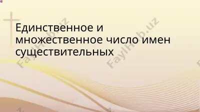 единственное и множественное число имен существительных — PPTX