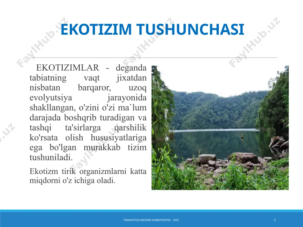 lan chambarchas bog'liqdir. yosunlarning tuproq o'sishida tirik suv o'tlari bilan trofik ravishda bog'langan yuqori qatlamlarning aksariyat taksonlari asosan tegishli. proteobakteriyalar - kopiotroflarning ekologik guruhi. bu bakteriyalar kompleksi ham yuqori o'simliklarning fitoplanlariga xosdir. ўзбекистон миллий университети, 2020 12 o'lik o'simlik qoldiqlarini gidrolizi grammatik musbat prokaryotlar shoxiga mansub tirik o'simliklar bilan bog'liq bo'lgan bakteriyalar guruhidan farqli ravishda ham taksonomik, ham funktsional ravishda amalga oshiriladi. bular ham aerob (bastillalar), ham anaerob (klostridiya) spora hosil qiluvchi bakteriyalar, shuningdek corin va nokardga o'xshash bakteriyalarni o'z ichiga olgan aktinomitsetlar sinfining turli vakillari. ularning barchasi, proteobakteriyalar (dispersiya mikroflorasi) sinfidan farqli o'laroq, gidrolazalarga ega, shu tufayli murakkab o'simlik polimerlari yo'q qilinadi. ўзбекистон миллий университети, 2020 13 avtotrof ishlab chiqaruvchi - mikroorganizmlar bilan o'simlik - parchalanuvchilarning o'zaro munosabatlari bilan belgilanadigan har qanday ekotizimning ishlashi uchun mikroorganizmlarning barcha ekologik guruhlari talab qilinadi, chunki barqaror hamjamiyat ko'p funktsiyali bo'lishi kerak. yerni yuqori o'simliklarga joylashtirishni faqat unda biomassa parchalanishining mikrob tizimi mavjud …