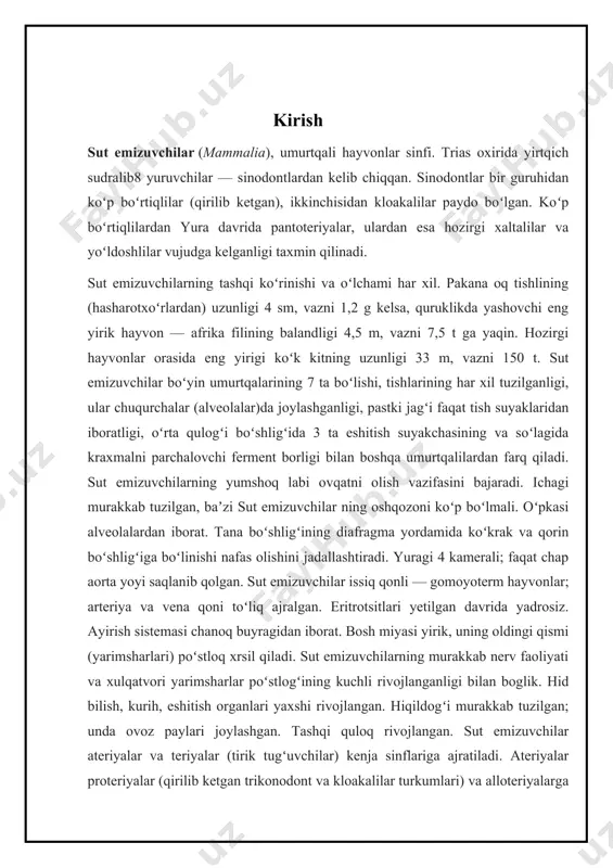 n oziqovqat manbai, ishchi kuchi yoki qoʻriqchi sifatida foydalanib kelinadi. 20-asr dan moʻynali sut emizuvchilarni xonakilashtirish, ulardan lab. hayvonlari sifatida foydalanish boshlandi. bir qancha sut emizuvchilar qishloq xoʻjaligi ekinlari, oʻrmonchilik (ayrim kemiruvchilar) va chorvachilikka (asosan, yirtqichlar) ziyon keltiradi. ayrim sut emizuvchilar (asosan, kemiruvchilar) oʻlat, tulyaremiya, quturish va boshqa ogʻir yuqumli kasalliklarning tarqalishida ishtirok etadi. sutemizuvchilar turli xil yashash muhitida yashash va xatti-harakatlarning turli shakllari uchun hayratlanarli xilma-xillikni namoyish etadilar. umurtqali hayvonlarning hech bir sinfi oʻz evolyutsiyasi jarayonida sutemizuvchilar kabi xilma-xil shakllarni bermagan va koʻpincha bir turkumga mansub turlar har xil adaptiv tiplarga – asosiy ekologik guruhlarga kiradi; boshqa tomondan, o'xshash sharoitda yashovchi va turmush tarzida yaqin bo'lgan turli tartib vakillari juda o'xshash ko'rinishga ega bo'lishi mumkin.sut emizuvchilarning ko'pchiligi naslni sut bilan boqishdan tashqari, ularni boshqa umurtqali hayvonlardan ajratib turadigan bir qator xususiyatlar bilan ajralib turadi. tirik tug'ilish (ibtidoiy hayvonlarning kichik sinf vakillaridan tashqari); haqiqiy gomeotermiya (issiq qonlilik; istisno - yalang'och …