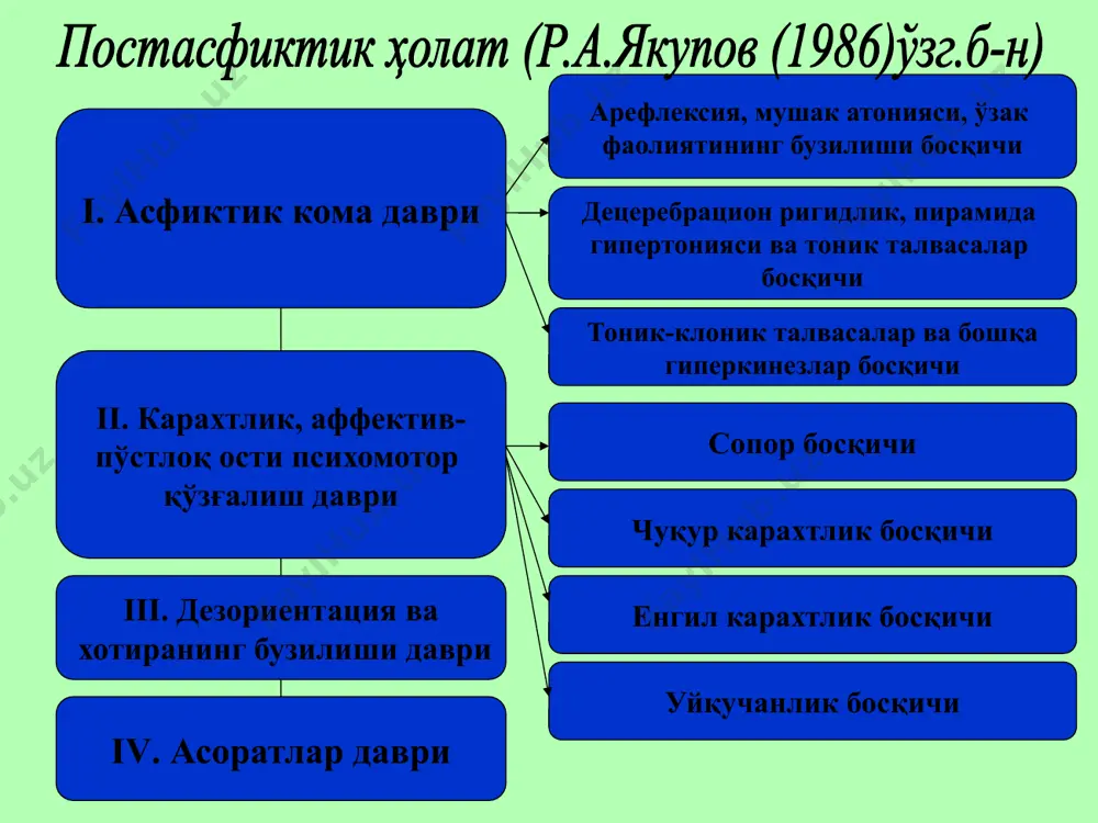 mexanik asfiksiya - Page 5