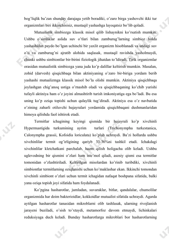 o’maklashar ekan. ikkinchi tomondan xivchinli simbiont o’zlari uchun termit ichagidan nafaqat boshpana sifatida, balki yana oziqa topish joyi sifatida ham foydalanadi. ko’pgina hasharotlar, jumladan, suvaraklar, bitlar, qandalalar, chumolilar organizmida har doim bakterioidlar, kokkoidlar mutualist sifatida uchraydi. agarda aytilgan hasharotlar tanasidan mikroblarni olib tashlasak, ularning rivojlanish jarayeni buziladi, o’sish to’xtaydi, metamorfoz davom etmaydi, lichinkalari reduksiyaga duch keladi. bunday hasharotlarga mikroblari bor hasharotlarning ekskrementlarini yedirsak, izdan chiqqan jarayenlar qayta tiklanadi. mutualistik simbioz nafaqat o’simliklar yeki hayvonlar orasida keng tarqalgan. bunday munosabatlar shakli odam bilan o’simliklar yeki hayvonlar orasida ham juda keng tarqalgan. masalan, odam ichagida har doim esherixiya degan ichak bakteriyasi (bacterium coli) mutualist holda yashaydi. ushbu bakteriya o’z faoliyati bilan odam organizmi uchun katta foyda keltiradi, ya’ni odam uchun zarur v1 vitamini majmuini hosil qiladi. ushbu vitamin majmui foydali tomonlaridan biri odam tanasidagi tif, ichburug’ (dizenteriya) va ayrim chirituvchi bakteriyalarga nisbatan antogonist bo’lib, ularning faoliyatini bosib turadi. shuni qayd qilish lozimki, …