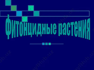 фитонцидные растения — PPT