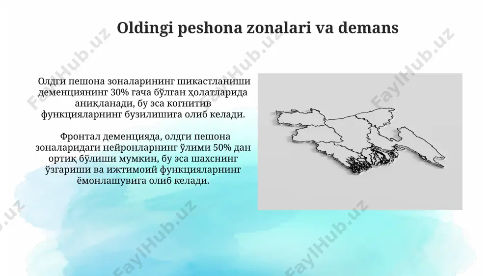 quyi frontal zonaning anatomiyasi - Page 5