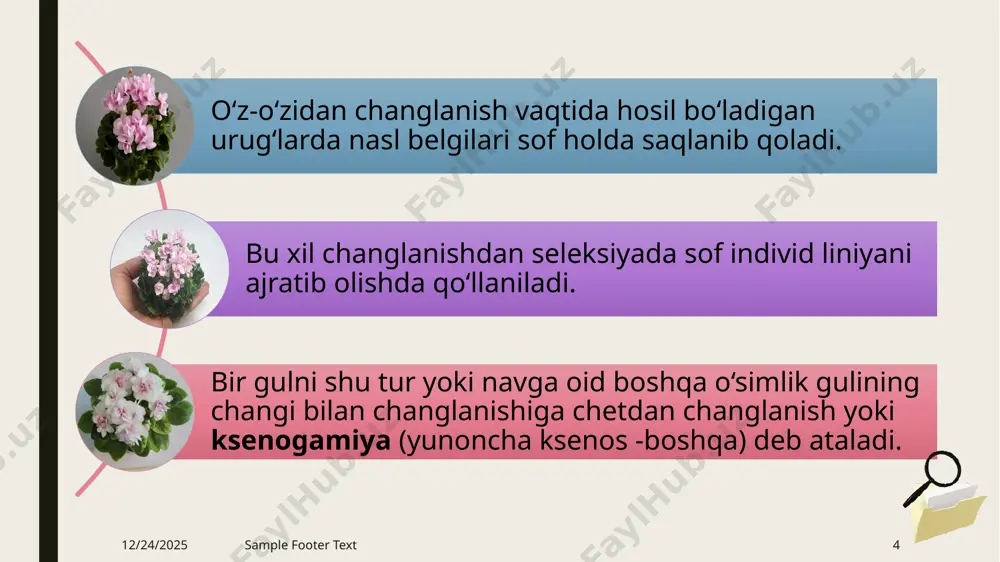 changlanish haqida umumiy tushuncha - Page 4