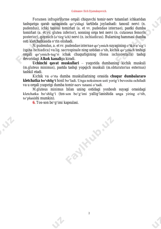 rat muskuli (m. quadratus femoris). 5. 1- va 2-qavat muskullari orasida joylashagan dumba osti kletchatkasi. bu kletchatka noksimon muskul usti va noksimon muskul osti teshiklari (kanallari) yordamida tosning qorin parda osti bo‘shlig‘i bilan bog‘langan. katta quymich teshigi orqali chiquvchi noksimon muskul (m. piriformis) hisobiga noksimon usti teshigi (foramen suprapiriforme) va noksimon osti teshigi (foramen infrapiriforme) hosil bo‘ladi. foramen suprapiriforme orqali tos bo‘shlig‘idan a. et vv. gluteae superiores et n. gluteus superior lar o‘tib, dumbaning o‘rta va kichik muskullari orasidagi chuqur dumbalararo kletchatkaga, yuqori dumba arteriyasining yuza tarmog‘i (r. superficialis a. glutea superior) dumba osti kletchatkasiga o‘tadi. gulmanov ilich djumabayevich. 2 foramen infrapiriforme orqali chiquvchi tomir-nerv tutamlari ichkaridan tashqariga qarab sanaganda qo‘yidagi tartibda joylashadi: tanosil nervi (n. pudendus), ichki tanosil tomirlari (a. et vv. pudendae internae), pastki dumba tomirlari (a. et vv. glutea inferior), sonning orqa teri nervi (n. cutaneus femoris posterior), quymich (o‘tirg‘ich) nervi (n. ischiadicus). bularning hammasi dumba osti …
