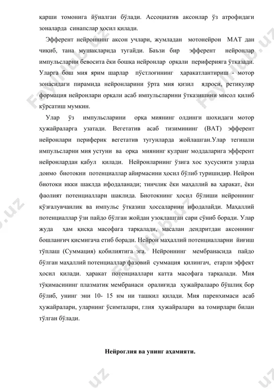 и эффект ҳосил қилади. ҳаракат потенциаллари катта масофага тарқалади. мия тўқимасининг плазматик мембранаси оралиғида ҳужайралааро бўшлиқ бор бўлиб, унинг эни 10- 15 нм ни ташкил қилади. мия паренхимаси асаб ҳужайралари, уларнинг ўсимталари, глия ҳужайралари ва томирлари билан тўлган бўлади. нейроглия ва унинг аҳамияти. глия майда, турли шаклли, ихтисослашган ҳужайра бўлиб, улар нейронлар ҳамда капилярлар оралиғини тўлдиради. глия атамаси грекча бўлиб елимни англатади. глия хужайраларини қуйидаги турлари фарқланади: 1. астроглия (макроглия) - асосан таянч ва капилярдан зарур моддаларни нейронга ташиш вазифасини бажаради. астроцитлар мат нинг сиртқи ва ички юзасида кенг тарқалган. 2. маргинал нейроглия - нерв найининг ички ва сиртқи қатламларида учрайди. асаб толалари оралиғида жойлашиб, миелин қобиқларини ҳосил қилади. маргинал глиянинг олигодендритлари марказий ва периферик асаб тизими нейрон таналарини ўрайди ва асаб қобиғини ҳосил қилади. 3. переферик нейроглия - шванн, ватдаги стеллит (мантия), леммоцит ва бошқа ҳужайралардан иборат. шванн ҳужайралар периферик асаб тизимидагина учрайди. улар аксонлар қобиғини ташкил қиладиган ягона …