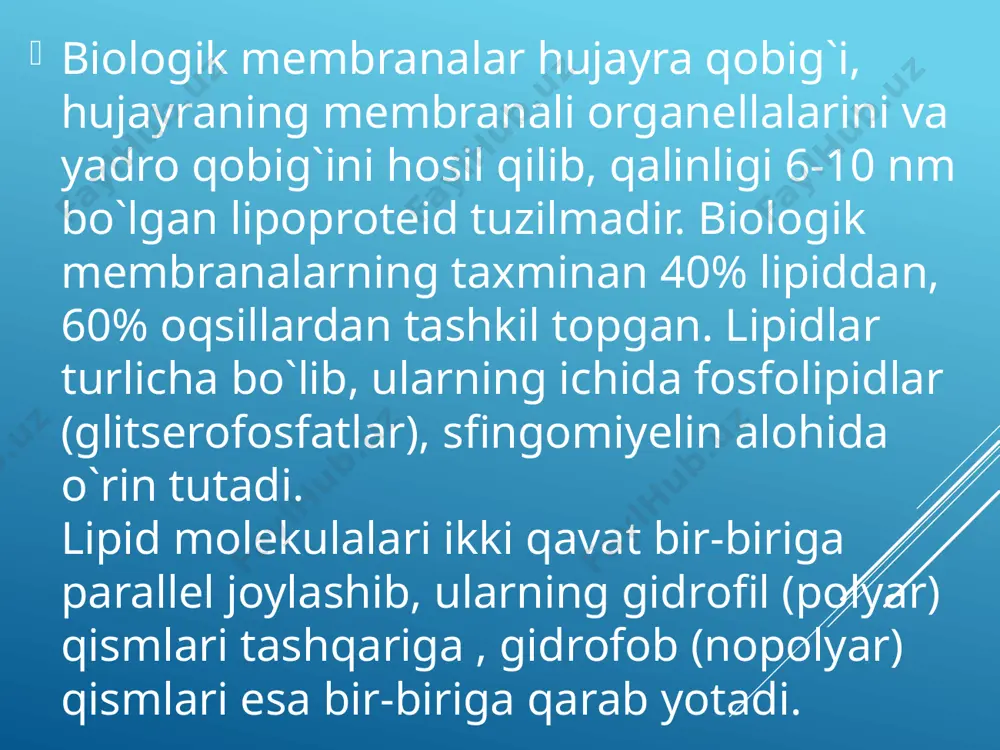 nalgan bo`rtmalari ko`zga tashlanadi. bu bo`rtmalar plazmolemma bilan qoplangan bo`lib, elektron zich hujayralararo joylashgan sementlovchi modda yordamida o`zaro birlashadi. plazmolemmaning ichki tarafida elektron zich disk shaklidagi tuzilmalar joylashib , ularni birlashtiruvchi plastinka deyiladi. sitoplazma ichidagi tonofibrillalar shu plastinkaga yopishadi. hujaura fiziologiyasi. hujayraning o’sishi, hayot sikli va o’limi hujayra - ko`p hujayrali organizmning elementar qismidir. u biologik sistema bo`lib, tashqi muhit bilan uning o`rtasida doimo modda va energiya almashinib turadi. ko`p hujayrali organizmda hujayra uchun tashqi muhit bo`lib hujayra tashqarisidagi suyuqlik hisoblanadi. ko`p hujayrali organizmda har bir hujayra o`zining modda almashinuvi darajasi bilan farqlanib turadi. tashqi muhitdan hujayraga hujayra ichki tuzilmalarini hosil qilishda ishtirok etadigan hamda hujayrada parchalanib energiya beruvchi moddalar va kislorod kiradi. yuqorida aytilgan moddalar hamda suv , ionlar, vitaminlar, gormonlar (hujayra funktsiyasini boshqarib turuvchi) hujayrani tashqi muhitdan ajratib turuvchi plazmatik membrana orqali aktiv va passiv transport yo`li bilan hujayraga kiradi. xuddi shu yo`l bilan hujayra metabolizmi mahsulotlari hujayradan …