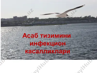 asab tizimi infeksion kasalliklari. герпетик энцефалит диагностикаси ва даволаш усуллари — PPTX