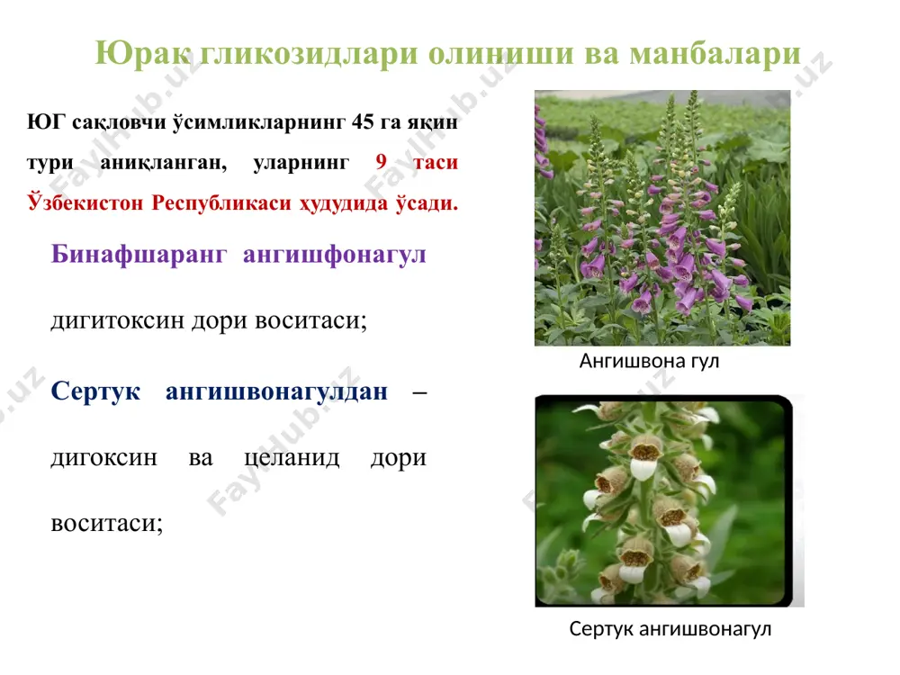 lustrated reviews». 2015.- p. 637. фойдаланилган адабиётлар эътиборингиз учун рахмат! image2.jpeg image3.jpeg image4.png image5.png image6.jpeg image7.png image8.png image9.png image10.jpeg image11.png image12.jpeg image13.png image14.png image15.png image16.jpeg image17.jpeg image18.png image19.jpeg image20.jpeg image21.png image22.png image23.png image24.png image25.jpeg image26.png image27.png image28.png image29.png image30.png image31.png image32.png image33.png image34.png image35.png image36.png image37.jpeg image38.png /docprops/thumbnail.jpeg