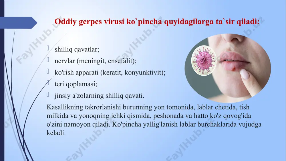 tanasidan tashqarida 24 soat davomida yashashi mumkin. +52 °c va undan yuqori haroratda 30 daqiqadan so`ng nobud bo`ladi -70 °c gacha bo`lgan haroratda esa 5 kungacha yashaydi. metall ustida taxminan 2 soat yashaydi. gerpesning belgilari oddiy gerpes virusining namoyon bo'lishi - bu tananing turli qismlarida paydo bo'lishi mumkin bo'lgan suyuqlikli pufakchalardir. odatda, ularning paydo bo'lishidan oldin bemorda quyidagi belgilar kuzatiladi: holsizlik; terining achishishi va qichishi; titroq. rivojlanish bosqichlari: birinchi bosqich - pufakchalar keyinroq paydo bo'ladigan joyda teri biroz qichishadi. agar terining bu joyini "aciklovir" malhami bilan yog'lansa, pufakchalar paydo bo'lishini oldini olish mumkin. yallig'lanish bosqichi - suyuqlikli pufakchalar hosil bo'lib, ular asta-sekin kattalashib boradi. yaralar bosqichi - pufakchalar yorilib, ularning o'rnini og'riq keltiradigan yaralar egallaydi. qo'tirning paydo bo'lish bosqichi - yaralar qobiq bilan qoplanadi. o`rab oluvchi temiratki davrida migren va kasallangan nervning joylashuvi bo'ylab tanadagi og'riqlar paydo bo'lishi mumkin. bir necha kundan keyin terida pufakchalar paydo bo'ladi, undagi shaffof suyuqlik …