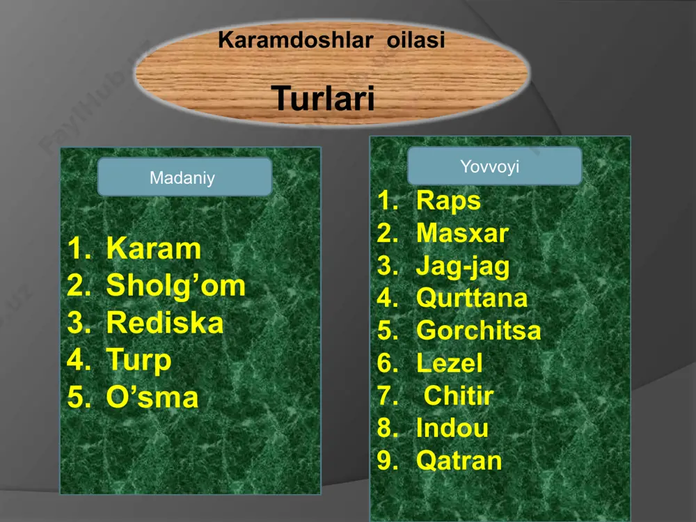 karamdoshlar oilasi - Page 5