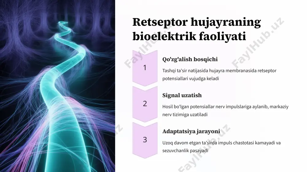 retsepsiya hamda retseptor hujayralarning tuzilishi va faoliyati - Page 5