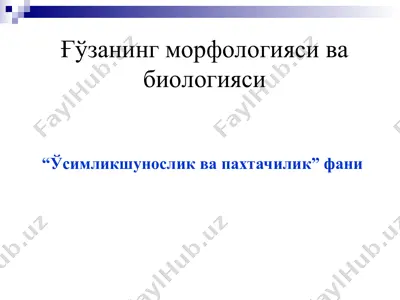 ғўзанинг морфологияси ва биологияси — PPT
