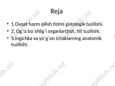 og'iz bo'shlig'i organlari tuzilishi — PPTX