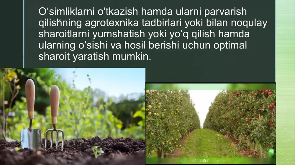 meva va rezavor meva oʻsimliklarining tashqi muhit omillariga talabi - Page 5