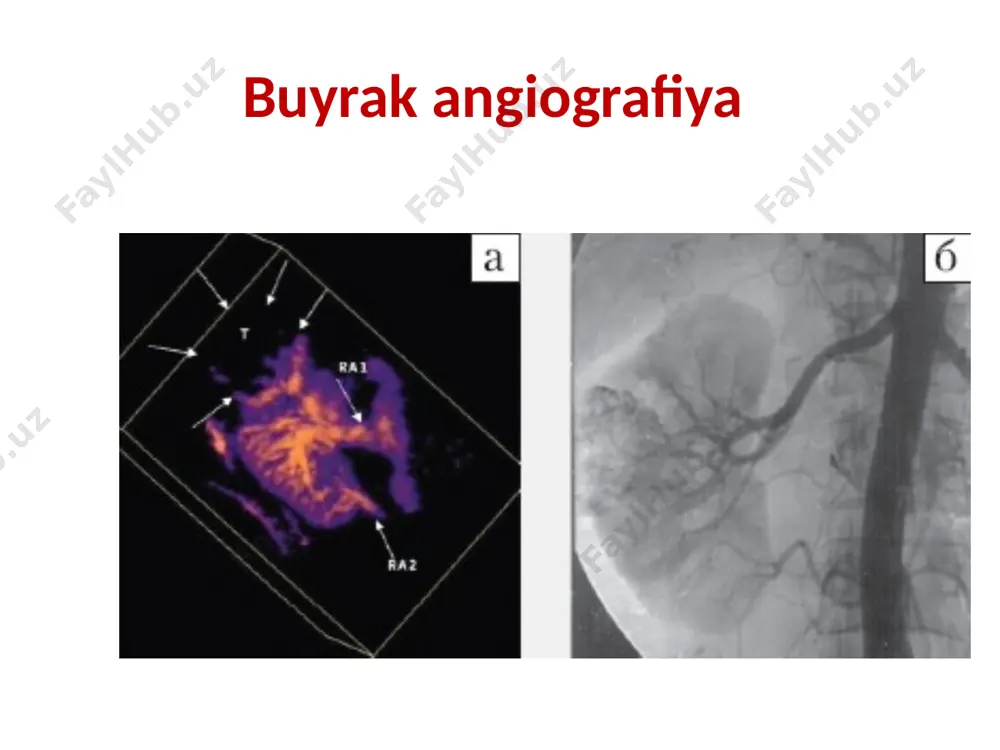 urologik diagnostika apparatlari - Page 5