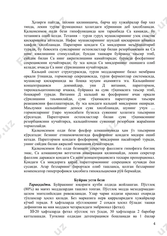 йидагича таъсир кўрсатади: 1) фолликуляр хужайраларда йод тўпланиши хусусияти ошади; 2) гликопротеид синтези ва унинг коллоидга секреция қилиниши кучаяди; 3) коллоидда гликопротеиднинг йодланиши кучаяди; 4) тиреоид гормони ажралиб чиқиши билан борадиган тиреоглобулиннинг парчаланиш тезлиги ошади. ттг таъсирида фолликул хужайраларининг ўлчами катталашади, коллоиднинг ҳажми эса кичраяди. қалқонсимон безнинг нерв орқали бошқарилиши; - симпатик импульслар йоднинг ютилишини кўпайтиради, гормоногинезни кучайтиради, лекин паренхиманинг пролиферациясини сусайтиради; - парасимпатик импульслар қалқонсимон без фаолиятини пасайтиради. қалқонсимон олди бези одатда 4 та, баъзида ундан кўпроқ безлардан ташкил топган. улар қалқонсимон без бўлакларининг орқароғида жойлашган, бириктиривчи тўқимали капсула билан ажралиб туради, лекин қалқонсимон безнинг умумий капсуласи билан ташқи томонидан ўралиб туради. капсуладан қон томирлар ва нерв толалари тўсиқлар ҳосил қилиб туради. бўлакларда аниқ чегаралар йўқ. безда эндокрин хужайралар оролча ѐки ички ва бир неча қатор полигонал шаклдаги хужайралар жойлашади. бу хужайралар турлича типга ажратилади: қорамтир, бош ва оч хужайралар. бош хужайралар паратирин гормони ишлаб чиқаради, уларда яхши ривожланган …