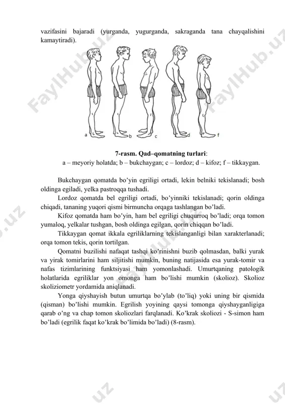 shqi koʼrinishni buzib qolmasdan, balki yurak va yirak tomirlarini ham siljitishi mumkin, buning natijasida esa yurak-tomir va nafas tizimlarining funktsiyasi ham yomonlashadi. umurtqaning patologik holatlarida egriliklar yon omonga ham boʼlishi mumkin (skolioz). skolioz skoliziometr yordamida aniqlanadi. yonga qiyshayish butun umurtqa boʼylab (toʼliq) yoki uning bir qismida (qisman) boʼlishi mumkin. egrilish yoyining qaysi tomonga qiyshayganligiga qarab oʼng va chap tomon skoliozlari farqlanadi. koʼkrak skoliozi - s-simon ham bo’ladi (egrilik faqat koʼkrak boʼlimida boʼladi) (8-rasm). 8-rasm. skolioz turlari: 1 – oʼng tomonlama, 2 – chap tomonlama, 3 – s-simon. skoliozlar 3 turga ajratiladi: birinchi daraja, bu funksional shakl: boshning orqasiga qo’llarni qo’yganda mushaklarning taranglashishi natijasida skolioz yo’qoladi. ikkinchi daraja - bu oraliq shakl: umurtqa pog’onasini to’g’rilash uchun orqa mushaklari yetarli darajada kuchlanmagan bo’ladi va uni tana og’irligi bilan tortish kerak. skoliozning uchinchi darajasi - bu qat’iy shakl: umurtqa pog’onasi va ko’krak qafasi aniq buralgan va qovurg’a bukriligi qayd etiladi (qovurg’alar skolioz yo’yining …