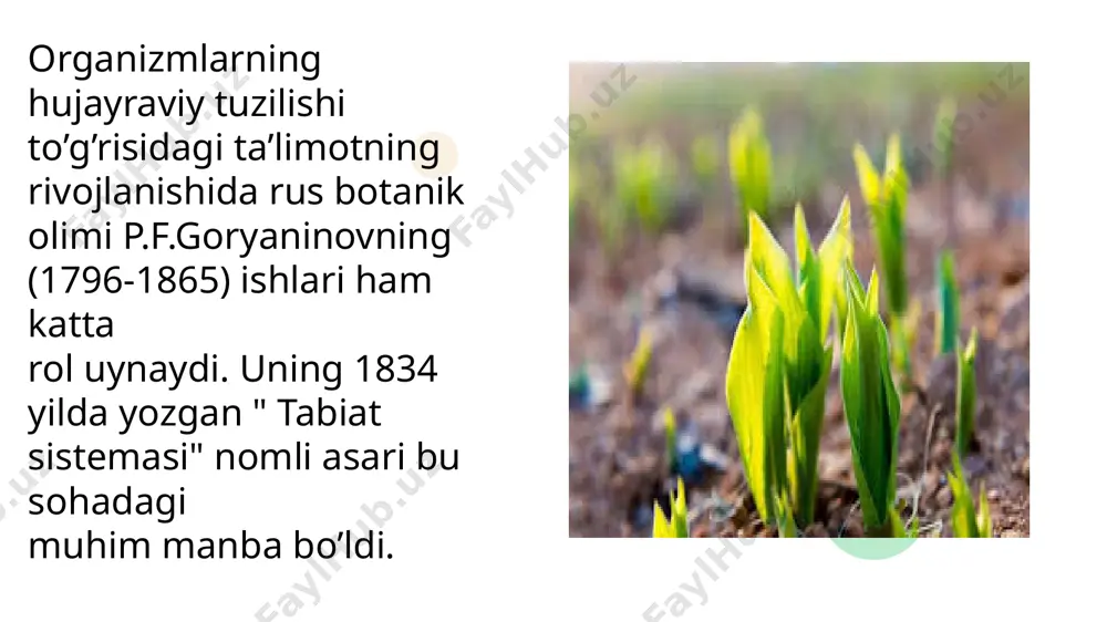 hujayraviy ta’limotning rivojlanish tarixi - Page 5