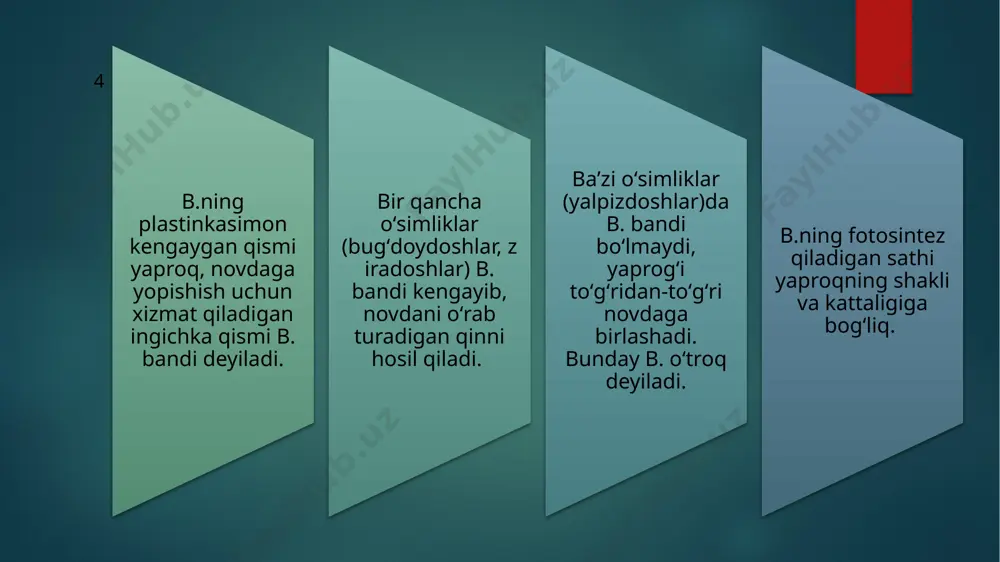 bo’lganda esa hujayralar epidermis ostidagi yuqori uchida joylashadi. ko’pchilik o’simliklar ustunsimon parenximasi ostida voronkasimon shakldagi yig’uvchi hujayralar bo’ladi. ular keng qismi bilan ustunsimon to’qima hujayralariga yondoshib joylashadi. ularning vazifasi fotosintezda ustunsimon to’qima hujayralarida hosil bo’lgan organik moddalarni qabul qilish va uni bargning o’tkazuvchi bog’lamlariga o’tkazishdan iborat. . bargni ko’ndalang kesimida tomirlari ustki va pastki tomondan epidermis . tolalarning ma'lum qismini asosiy parenxima hujayralari . bog’lamlar poyada qanday joylashsa, barg tomirlarida ham xuddi shunday bilan qoplanganligini, uning ostida esa kollenxima hujayralari joylashganligini ko’rish mumkin. egallagan bo’lib, ular orasida ayrim tolali naychalar bog’lami bo’ladi. uning yuqori qismi yog’ochlik hujayralaridan, pastki qismi esa lub elementlaridan iborat bo’ladi. joylashadi. bog’lamlarning eng ko’pi bargning asosida bo’lib, barg uchiga tomon esa maydalashib boradi va nihoyat barg plastinkasining eng chetiga yog’ochlikning bittagina naychasi etib boradi. shu sababli suv naycha bo’ylab barg plastinkasining eng chetigacha etib boradi, etning naycha atrofidagi cho’zinchoq hujayralari esa fotosintez mahsulotlarini bargning eng uchidan …
