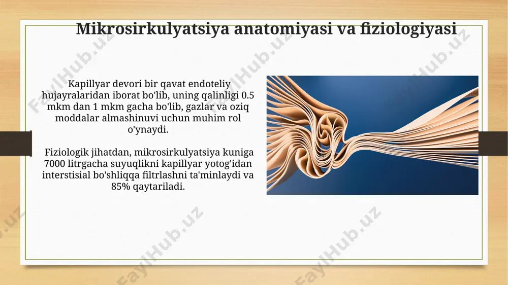 mikrotsirkulyasiya haqida tushuncha - Page 4