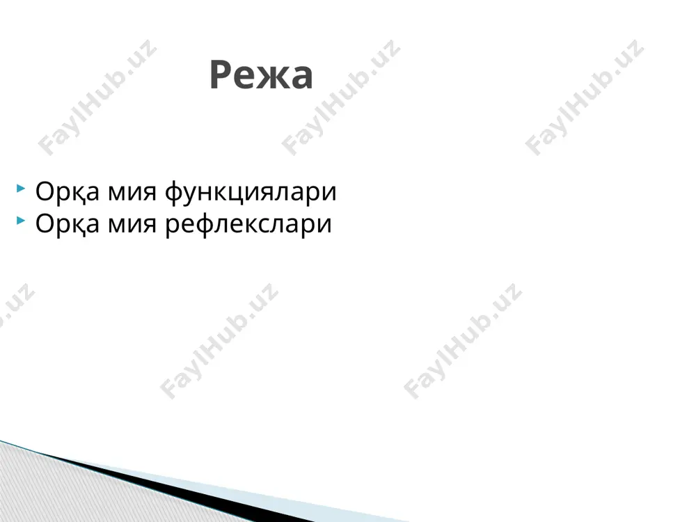 h mexanizmini urganish bu ta’sirning ikki yо‘l bilan ruyobga chiqishini kо‘rsatadi. birinchidan, retikulo-spinal tushuvchi yul tolalarining tormozlanishi renshou zqujayralarida sinapslar hosil qilishi va bu tolalar orqali retikulyar formatsiyani orqa miyaga yetib kelgan impulslarning renshou hujayralari qо‘zgaluvchanligini oshirib, ularning motoneyronlarni tormozlash kuchini oshirishi aniklandi. ikkinchidan, retikulo-spinal yо‘l tolalarining orqa miya motoneyronlariga bevosita ta’sir qilish mumkinligi kо‘rsatib berildi. retikulyar formatsiyaning orqa miya reflekslarini tormozlovchi neyronlaridan sal tashqarida va yuqoriroqda joylashgan neyronlarni ta’sirlash orqa miyaning reflektor faoliyatini osonlashtiradi. orqa miya motoneyronlarini faollashtiruvchi impulslar ham retikulo-spinal yо‘l tolalaridan о‘tadi. bu tolalar spinal reflektor yoylarning oraliq neyronlarida tugaydi. retikulyar formatsiyaning orqa miya rereflektor faoliyatini faollashtiruvchi ta’siri motoneyronlarning qо‘zg‘aluvchanligini bevosita oshirish yoki renshou hujayralari faolligini susaytirish yо‘li natijasida yuzaga chiqadi. retikulyar formatsiya skelet muskullari tonusini bonqarishda ham ishtirok etadi. u gamma-motoneyronlar orqali muskul duklaridagi intrafuzal tolalarni qо‘zgatib, ularni taranglashtiradi. natijada duk yadrosidagi retseptorlardan markazga intiluvchi impulslar kо‘plab kela boshlaydi. bu impulslar alfa-motoneyronlar qо‘zg‘aluvchanligini kuchaytirib, ekstrafuzal tolalar …