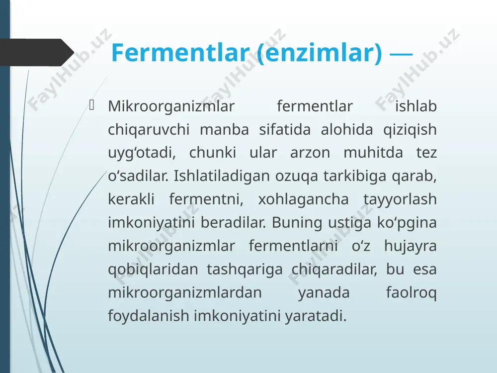 za yoki v-galoktozidaza (v-d-galoktozid-galoktogidrolazalar) laktozani glyukoza va galaktozaga aylantiradi. bu ferment e.coli, asp.niger, sacch.cerevisiae, curvularia inaqualis, alternaria tenuis va ayrim boshqa mikroorganizmlarda sintez bо‘ladi. invertaza - (v-d-fruktofuranozid-fruktogidrolaza) saharozani glyukozaga va fruktozaga parchalaydi. uni aspergillus turkumi vakillari (asp.awamori, asp.batatae, asp.niger), achitqi zamburg‘i, bacillus subtilis va bac.diastaticus larning alohida shtammlari hosil qiladi. sellyulolitik fermentlar (sellyulazalar) faol oqsillarning murakkab kompleksidir, sellyuloza molekulasining har xil bog‘lariga ta’sir qiladi, s komponent (ekzonukleaza) tabiiy holdagi sellyulozaga (paxta, filtr qog‘ozi) ta’sir qiladi. sx -komponenti (endonukleaza) eriydigan shaklga о‘tkazilgan kletchatkani (karbosimetilsellyulozani) gidrolizlaydi. sellyuloza bilan bir qatorda mikroorganizmlar sellobiaza (v-glyukozidaza) hosil qiladi, bu ferment sellyulozani va gemitsellyulozani parchalaydi. sellyulozani gidrolizining oxirgi bosqichi, glyukoza hosil bо‘lishi bilan tugallanadi. sanoatda ishlab chiqariladigan sellyulotik ferment preparatlari odatda s1 va sx va shunga о‘xshash sellobiaza va gemitsellyulaza fermentlari bо‘lib, bu preparatlarning ph kо‘rsatkichi 3,0 dan 8,0 gacha. mana shu рн lar oralig‘ida ular turg‘undirlar. sellyulazani hosil qiluvchilar kо‘pincha mitselliali zamburug‘lardir, shulardan penicillium notatum, …