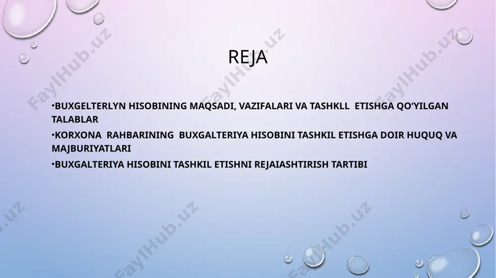 buxgalteriya hisobini tashkil etish - Page 2