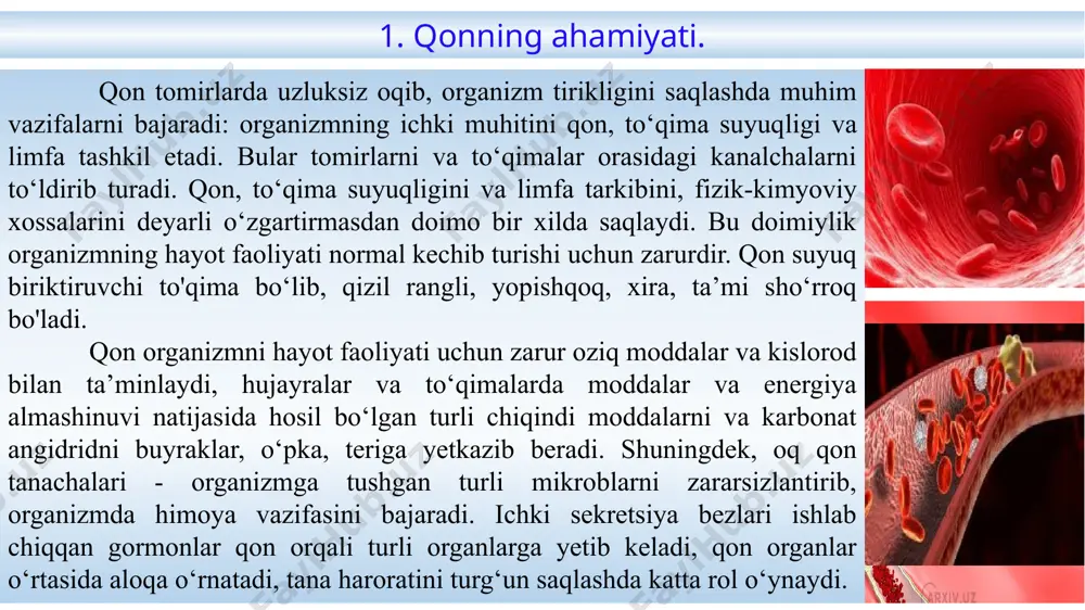hu xilda birday turadi. qon katta odamda o‘rta hisobda tana vaznining 7-8% ni tashkil etadi. shunday qilib, og‘irligi har xil bo’lgan kishilarning qoni ham turli miqdorda bo’ladi. og’irligi 70 kg bo’lgan odamda 5-6 litr qon bor. uning 40-45% qon tomirlarda harakatlanadi, qolgan qismi taloq, jigarda, teri osti to‘qimasida zaxira holda saqlanadi, bularni depolangan qon deyiladi. bulardagi qon yo‘qotilganda, muskullar ishida, tana harorati ko‘tarilganda, odam bo‘g‘ilganda va boshqa zaruriy holatlarda tomirlarga chiqariladi. qonning 1/4-1/3 qismi yo'qolishi hayot uchun xavfli hisoblanadi. qonga ivitmaydigan modda solib, probirkada bir necha soat saqlansa yoki sentrifuga qilinsa, bir-biridan keskin farq qiluvchi ikkita qavat hosil bo’ladi. yuqori qavatda yarim shaffof sariq suyuqlik - qon plazmasi, pastki qavatda esa qonning shaklli elementlari: qizil qon tanachalari, ya’ni eritrotsitlar, oq qon tanachalari - leykotsitlar va qon plastinkalari – trombotsitlar cho’kma hosil qiladi. qonning taxminan 55-60% ni qon plazmasi, 40-45% ni shaklli elementlar tashkil qiladi. plazmaning 90-92%ini suv, 8-10% ni turli …