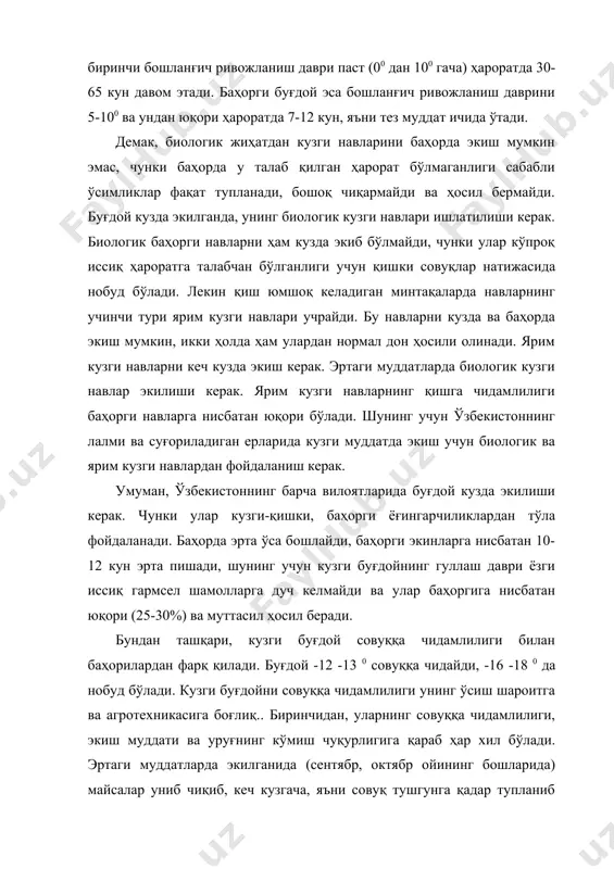 да, улар майса чиқарган ёки тупланиш бошланган ҳолда қишлайди. бу даврларда ўсимликлар совуққа чидамсиз бўлади, ҳосил камаяди. уруғни экиш чуқурлиги ҳам катта аҳамиятга эга. уруғлар экиш вақтида нормал чуқурликда кўмилса, тупланиш бўғими тупроқда чуқурроқ жойлашади ва совуққа чидамли бўлади. кузги буғдой тупроққа талабчан, улар унумдор, бегона ўтлардан тоза бўз ва ўтлоқи тупроқларда яхши ривожланади. шўрланган тупроқларда яхши ўсмайди, агар шундай ерларга экиладиган бўлса, албатта ерни шўрини ювиш керак. кузги буғдой суғориладиган ерларда озиқ элементларига талабчан, айниқса, азотга талабчан. най ўраш ва бошоқланиш даврларида бу талаб айниқса ортади. лекин ортиқча озиқлантирилса, айниқса азот ўғити кўп берилса, ўсимликларнинг қишга чидамлилиги пасаяди, ётиб қолиши мумкин. кузги буғдой суғориладиган ерларда намга талабчан. кузги буғдой экилган майдонларнинг намлиги умумий дала нам сиғимининг 70-75% миқдорида бўлиши керак. най ўраш ва бошоқланиш даврларида буғдойнинг сувга талабчанлиги ортади. тупроқнинг намлиги оптимал даражада сақлаб турилса, буғдой гармселдан зараланмайди. навлар: "интенсив", "санзар-4", "санзар-6", "санзар-8", "унумли буғдой", "ёнбош", "шарора" ярим кузги …