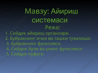 айириш системаси — PPT