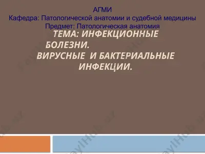 инфекционные болезни — PPTX