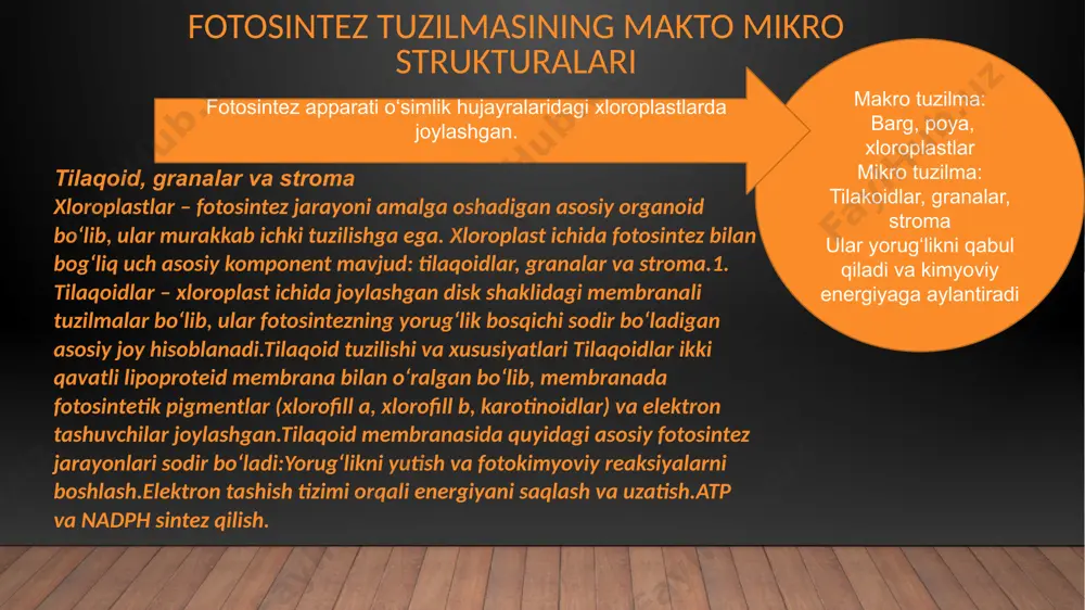 g asoslab berilishi, yorug’lik ishtirokida sodir boʻladigan tabiiy hodisalar (fotoperiodizm, fototaksis va b.) ning aniqlanishi bilan bogʻliq. stoks qonuniga ko‘ra, flüoresansiya (yoritish) maksimumi molekulaning yutish maksimumiga nisbatan uzunroq to‘lqinlar sohasida joylashadi. buning sababi — yutilgan energiyaning bir qismi issiqlikka aylanishidadir. energiya migratsiyasi (uzatilishi) qo‘zg‘algan molekulalarning s₁ (birinchi singlet) va t₁ (birinchi triplet) holatlarida amalga oshadi. bu jarayonlar nurlanishsiz (masalan, b) va kinetik to‘qnashuvsiz (masalan, s) tarzda, issiqlikka aylanishsiz uzatishlardan iborat bo‘lib, umumiy shaklda quyidagicha ifodalanadi: bu jarayonlar molekula ichida yoki molekulalararo sodir bo‘lishi mumkin. b va s o‘rtasidagi energiya uzatilishi aylanma-rezonans yo‘li bilan amalga oshadi. bu usulda energiya jihatidan farqlanuvchi elektronlar almashadi. induktiv rezonans yo‘lida esa molekulalararo masofa nisbatan katta bo‘ladi (2–10 nanometr). bu holatda qo‘zg‘algan b* molekulasi va s molekulasi orasida rezonansli o‘zaro ta’sir yuzaga keladi. b + nur kvan­ti → b* b* + s → s* + b bu fotosintez jarayonida turli uzunlikdagi yorug‘lik to‘lqinlari o‘simliklarning fotosintez samaradorligiga …