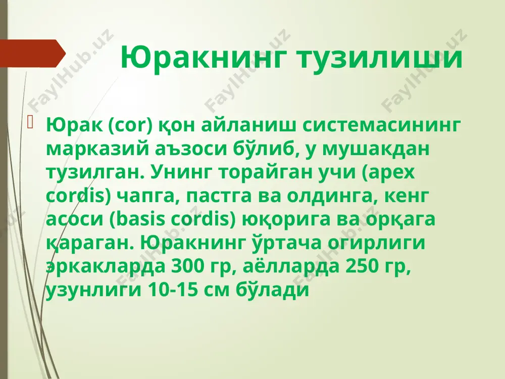 qon aylanish sistemasining fizikasoslari - Page 3