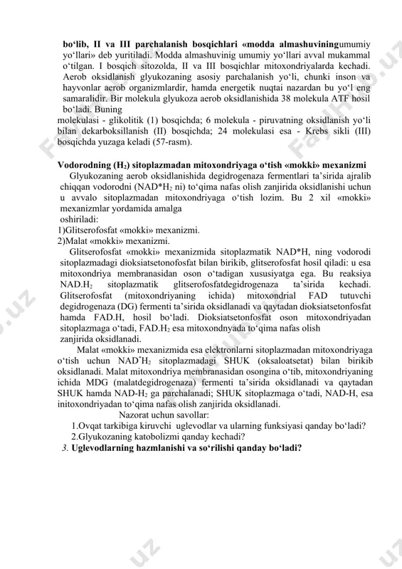 aktozalar ham so‘rilishi mumkin. ammo ular organizmda foydalanilmaydi, siydik orqali chiqarilib yuboriladi). qon bilan glyukoza jigarga boradi va uning ma’lum miqdori glikogenga aylanadi, asosiy miqdori esa qon bilan hamma to‘qima hujayralariga yetkaziladi. qonda glyukozaning miqdori normada (sog‘lom kishilar qonida) 70-120 mg % (yoki «ci» bo‘yicha 3,6-6,1 mmol/1) bo‘ladi. glyukozaning katabolizmi glyukoza to‘qimada asosan kislorod ishtirokida hamda kislorodsiz sharoitda parchalanishi mumkin. buning uchun glyukoza avvalo geksokinaza fermenti ta’sirida, atf sarflanishi bilan glyukoza-6- fosfatga aylanadi. faollashgan glyukoza-6-fosfatni taxminan 65% to‘qimada parchalanadi; 30% yog‘ga, 5% esa glikogenga aylanadi. glyukozaning parchalanishi 3 xil yo‘l bilan yuz beradi: a)aerob (kislorodli) parchalanish; b)anerob(kislorodsiz) parchalanish; c)pentozofosfat (apotomik) parchalanish. uglevodlarning aerob уо'l bilan oksidianishi va uning flziologik ahamiyati aerob (kislorod ishtirokida) parchalanishning oxirgi mahsuloti co2 h2o energiya bo‘lib, yig‘indi tenglamasi quyidagichadir: c6h12o6+ 6o2= co2+38atf + 6h2o aerob yo‘l glyukozaning asosiy parchalanish yo‘li bo‘lib, u uch bosqichda (stadiyada) boradi: i.bosqich - glikolitik bosqich - glyukozaning pirouzum kislotasiga parchalanishi; ii.bosqich …
