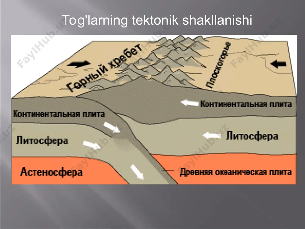 lki tog ' vodiylarining yuqori oqimidagi yon bag'irlarga va tekis yuzalarga tushgan qorning siqilishi bilan yuzaga keladi. muzliklarning mavjudligi uchun zarur shart-bu qattiq yog'ingarchilik (qor yormasi, qor).muzlikning u to'ldiradigan vodiy bo'ylab harakatlanishi tortishish kuchi bilan sodir bo'ladi. muzning harakatlanish tezligi nisbatan past, kuniga atigi 0,6-0,7 mm. masalan, pomirdagi fedchenko muzligi yiliga 350 m va shunga o'xshash 1000 yil davomida siljiydi, uning uzunligi 77 km, kuchi (muzning qalinligi) 800-900 m . qor chizig‘ining balandligi faqatgina qutblardan ekvatorga tomon emas, dengiz va okeanlardan materik ichkarisiga tomon, ya’ni uzoqlik bo‘yicha ham ko‘tarilib boradi. mo‘tadil mintaqada qor chizig‘ining chegarasi g‘arbiy okeanbo‘yidagi dengiz iqlim o‘lkasidan materik ichkarisidagi keskin kontinetal iqlim o‘lkasiga tomon ko‘tarilib boradi. masalan, alpda qor chizig‘i 1000 1300 m, g‘arbiy kavkazda 2700 m, tyanshanning xontangri qismida 4200 m balandlikda joylashgan. bunga sabab, dengiz iqlim o‘lkasida yog‘inlar ko‘p, yoz salqin. keskin kontinental iqlim o‘lkasida esa, aksincha, yog‘inlar kam, yoz esa issiq va quyoshli, uzoq …