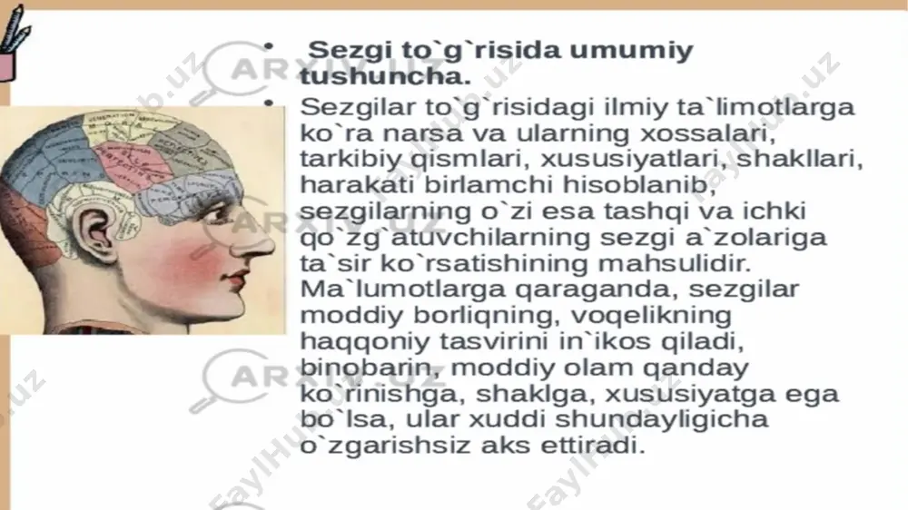 sezgi - Page 5
