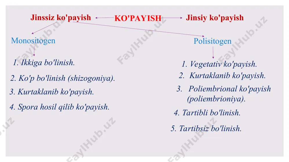 tini 7 marta homilador bo'lib, 15 nafar bola tuqqan (ix3]6x2*15). u jami 72 bolaning otasi bo'lgan. qme-h0000667 - © - quagga media