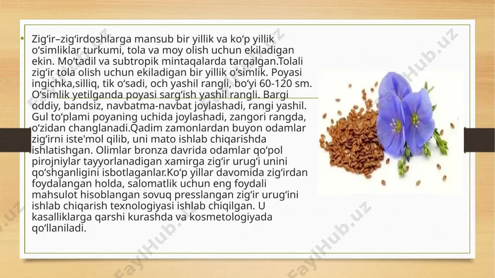 an sorbent.ular zigʻir urugʻlari va lignanlarga boy. ushbu oʻsimlik birikmalari printsipial jihatdan estrogenlarga oʻxshashdir. olimlar urugʻlardan prostaglandin ta’siriga oʻxshash modda topdilar. bu qon bosimini normallashtiradi va energiya, kaltsiy va lipidlar almashinuvini tartibga soladi.zigʻir urugʻining davolovchi xususiyatlarini oʻrganish yaqinda boshlandi. buning sababi onkologiyada zigʻirdan foydalanish. ilgari, oʻsimlikning foydasi tolaning mavjudligi bilan aniqlangan. keyingi tadqiqotlar natijalari shuni koʻrsatdiki, urugʻ tarkibida koʻplab foydali iz elementlar (iz elementlari tanada oz miqdorda boʻlgan biologik ahamiyatga ega elementlar), vitaminlar va boshqa moddalar mavjud uch turdagi zigʻir keng tarqalgan:tolali zigʻir -poyasi 70 sm gacha boʻlgan uzun, shoxlari zaif, ip-kalava uchun tolalar ishlab chiqarishda, toʻqimachilik sanoatida qoʻllaniladi.zigʻir-jingalak -zigʻirdan oʻnlab marta koʻproq koʻza beradi, past va yaxshi tarvaqaylab ketgan, moy ishlab chiqarishda ishlatiladi.len-mezheumok -yuqoridagi ikki turdagi xususiyatlarga ega, neft ishlab chiqarish uchun ham, qoʻpol matolarni ishlab chiqarish uchun ham ishlatilishi mumkin.zigʻir urugʻlarida taxminan 55% foydali yogʻkislotalari, 28-30% yuqori sifatli protein (barcha muhim aminokislotalarni oʻz ichiga oladi) va 35% tola …