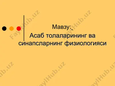 асаб толаларининг ва синапсларнинг физиологияси — PPT