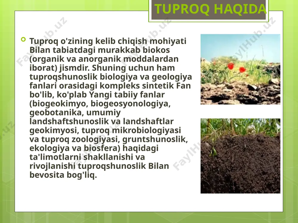 ususan quyi amu— daryoning qayir-allyuvial yotqiziqlari ustida o`tloq taqir, taqir o`tloq tuproq turi uchraydi. bunday tuproq turi joylashgan maydon jumxuriyat hududining 1,02% ni ishg`ol qiladi. utloq taqir, taqir o`tloq tuproqlar ko`proq grunt suvi yyer betiga yaqin (2—5 m bo`lgan joylarda uchrab, u yoki bu darajada sho`rlashgan va chirindi miqdori kam bo`lib, 0,7—0,9% ni tashkil etadi. o`zbekiston tog`li qismida relefning balandlashuvi tufayli havo harorati pasaya boradi, aksincha, yog`in miqdori ortadi, oqibatda, cho`lga xos o`simlik turlari o`zgarib, o`z o`rnini har-xil o`tlarga, buta va o`rmonlarga, tog`larning yuqori kismida esa o`tloqlarga bo`shatib beradi. binobarin, landshaftning balandlik mintaqalanishi vujudga kelib, uning bir unsuri hisoblangan tuproq turlari xam yuqoriga ko`tarilgan sari o`zgarib, uchta mintaqasini hosil qiladi: bo`z tuproqli adir mintaqasi:tog`-jigar rang va qo`ng`ir tog`o`rmon mintaqasi va och tusli ko`ng`ir o`tloq baland tog` (yaylov) mintaqasi. bo`z tuproq o`ziniig morfologik va kimyoviy tarkibiga ko`ra pastdan yuqoriga qarab och tusli, tipik va to`q tusli bo`z tuproq turlariga bo`linadi. joyning …