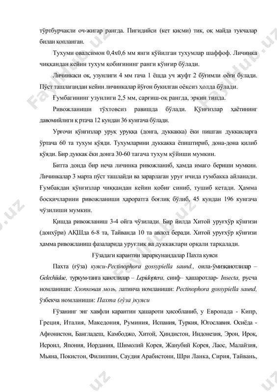 еспубликаси, гренада, гвателупа, гална, гаити, ямайка, мартиния, мехико, монсерат, парагвай, перу, пуерто рико, санти лучия, китс-невис, винсенти, тринидад тобаго, ақш, уругвай, венесуела, вирджиния. океанияда - австралия, фижи, полинезия, янги каледония, шимолий мореана, папуа, янги гвинея, шарқий самоа ва ванутуда тарқалган. мдҳ давлатларида рўйхатга олинмаган. капалаги gelechiidae оиласига мансуб ўта зарарли хавфли ҳашарот. осиё, африка, жанубий америка ва австралия давлатларида, шунингдек афғонистон, эрон, туркия давлатларида бошқа давлатларга нисбатан кенгроқ тарқалган. пахта экиладиган ҳудудларга тез мослашиб кетиш қобилиятига эга. ғўзанинг барча маданий ва ёввойи навларини ҳамда гулхайридошлар оиласига кирувчи, шунингдек каноп, бамия ўсимликларини кучли зарарлайди. зарари: ғўзанинг барча генератив органларини - шона, гул, кўсак, уруғ ҳамда толага зарар келтиради. зарарланган шона, гул ва бошқа органлар бандидан қуриб бошлайди ва тўкилиб кетади. ҳар бир ўсимлик органига 2-3 тадан личинкалари ўрнашиб олади ва уни ўсишдан тухтатади, натижада пахта толаси яроқсиз ҳолга келади ёки ўсимлик органлари бутунлай нобуд бўлади. зарарланган уруғлар тўлиқ ривожланмайди, унувчанлиги камайиб …