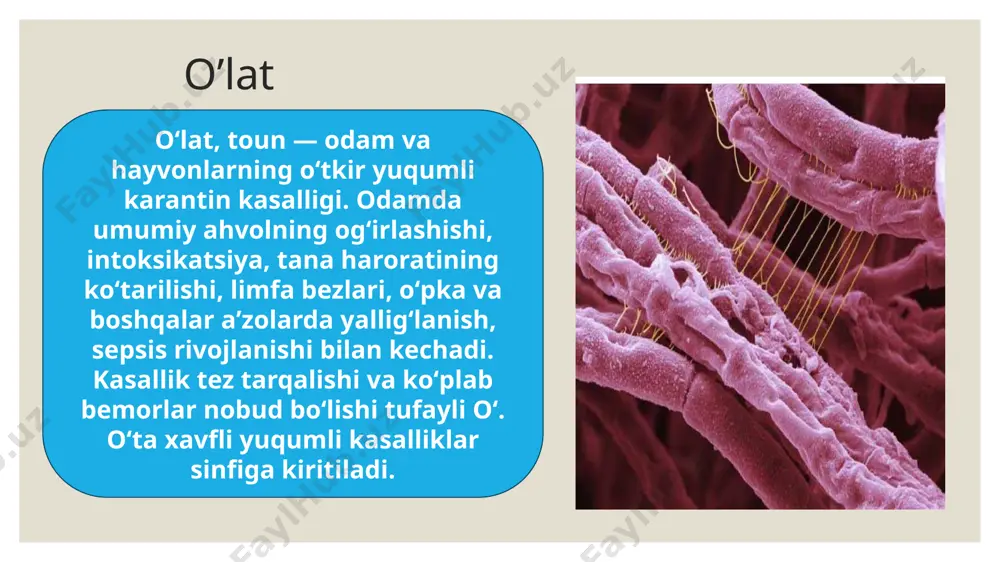vabo va o’lat - Page 5