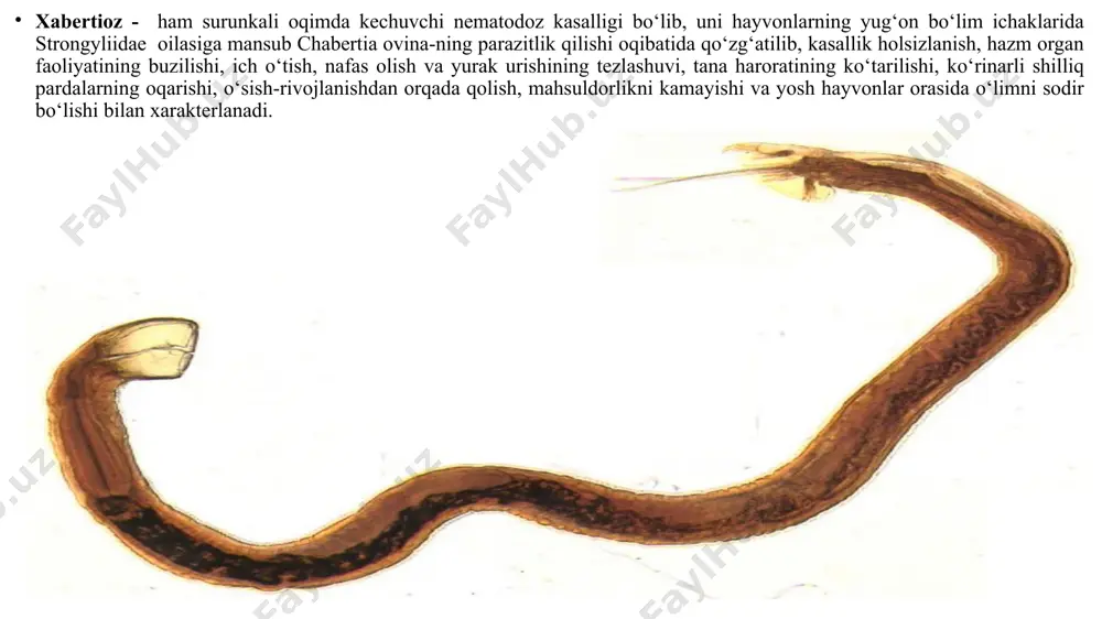 vitamin va mineral modda almashuvining buzilishi, o‘sish-rivojlanishdan orqada qolish, mahsuldorlikni kamayishi va ayrim paytlarda hayvonni nobud bo‘lishi bilan xarakterlanadi. qo‘zg‘atuvchisi – marshallagia marshalli - oq-sarg‘ich tusdagi nematoda bo‘lib,ayrim jinsli. parazitning bosh tomoni biroz yassilangan bo‘lib, unda mayda xitinli lablar bilan o‘ralgn og‘iz teshigi joylashgan, bir juft bo‘yin so‘rg‘ichchalari bor. erkaklarining uzunligi 10-12 mm, dum tomoni ventral tomonga biroz qayrilgan bo‘lib, unda subterminal holatda kloaka joylashgan, undan esa uzunligi 0,20-0,23 mm keladigan spikula chiqib turadi, bundan tashqari erkaklarining dum uchida yaxshi rivojlangan uch bo‘lmali kutikulyanr jinsiy bursasi bor. urg‘ochilarining uzunligi 12-20 mm, dum tomoni to‘g‘ri va o‘tkirlashgan, unda anal teshigi joylashgan, vulva teshigi esa tananing orqa tomonida joylashgn bo‘ladi. tuxumlari bachadon xalqalarida bir qator bo‘lib joylashgan, uzunligi – 0,158-0,183, eni esa 0,064-0,088 mm ga teng. qo‘zg‘atuvchining biologiyasi. parazit geogelmint, yarim yopiq vayarim ochiq tipda rivojlanadi, prepatent rivojlanish muddati 15-25 kun, parazitlik qilish davri esa 6 oyni tashkil qiladi. klinik belgilari. to‘la …